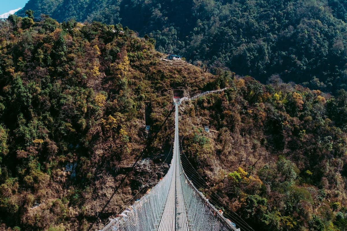 Suspension bridge over a forested gorge on the short Annapurna Base Camp trek