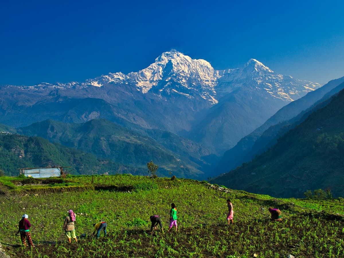 Pokhara, Sarangkot and Dhampus Village Tour
