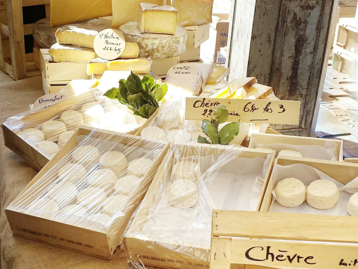 Rounds of fresh goat cheese on wooden boards, a farm stop on the Chitlang and Kulekhani tour