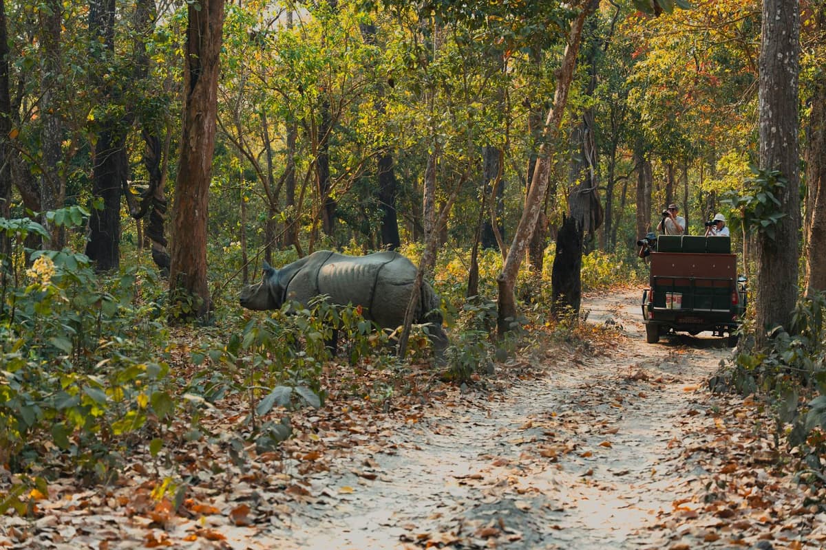 Chitwan Safari, Bungee and Canyoning Adventure