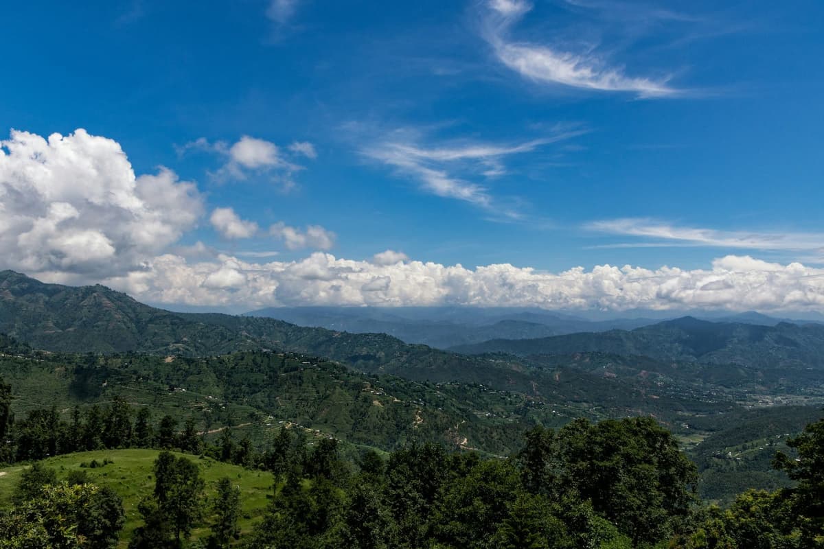 Terraced hills and forest around Dhulikhel on the Dhulikhel and Namobuddha tour