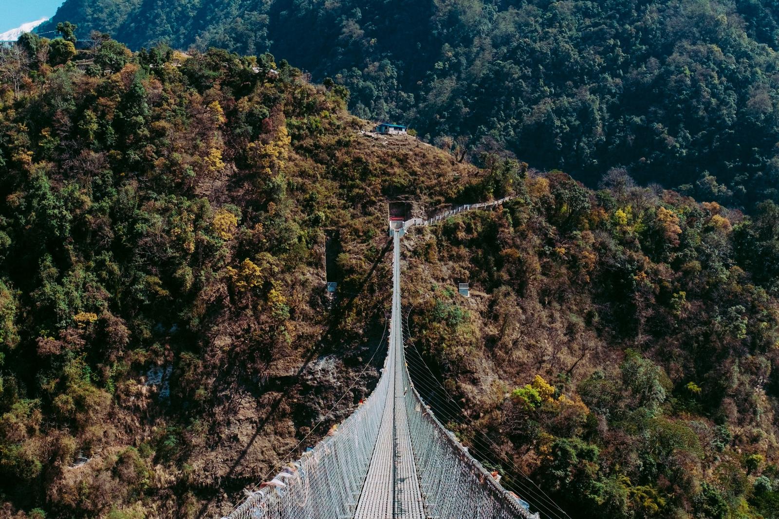 Suspension bridge over a forested gorge on the Annapurna Base Camp trek