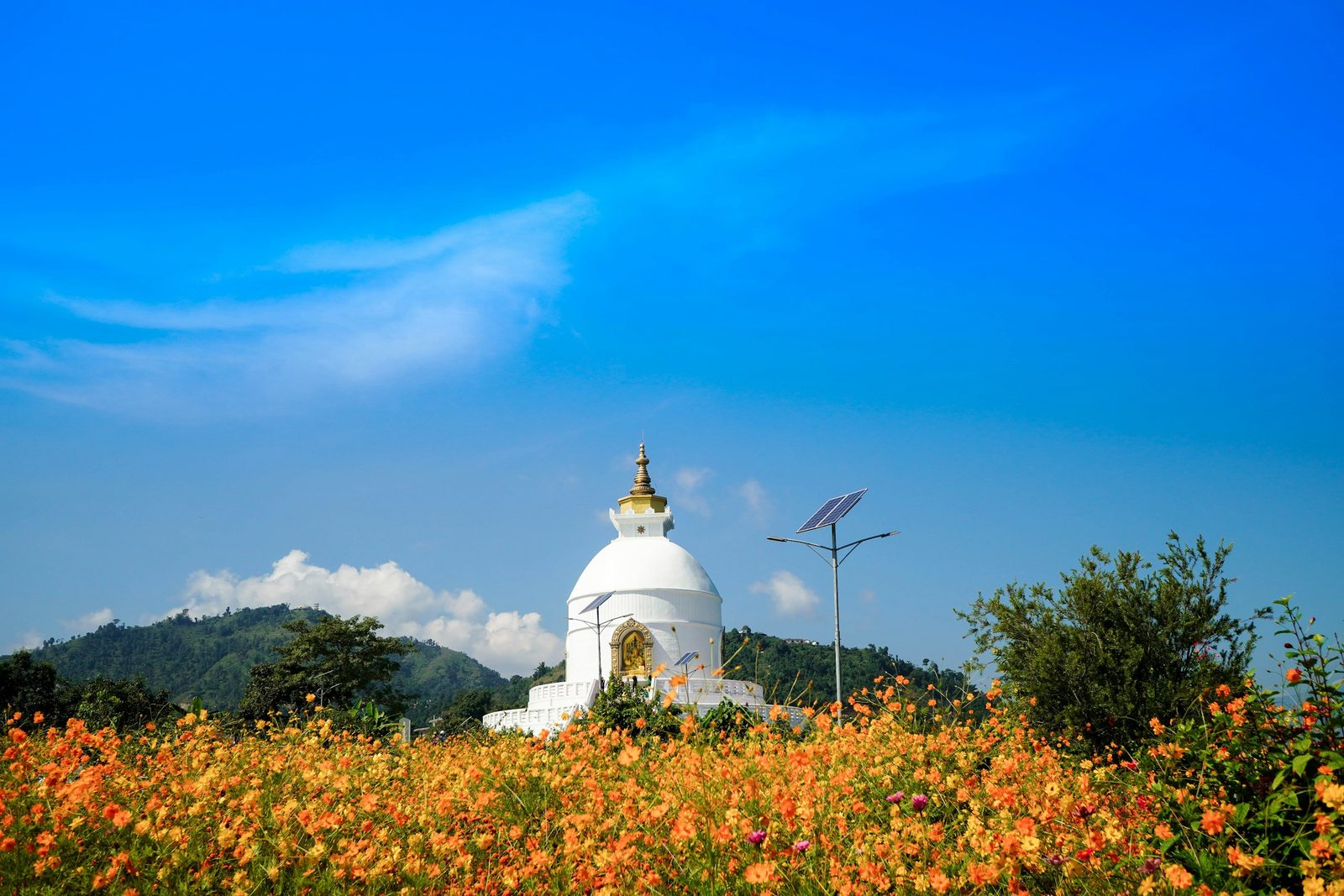 World Peace Pagoda above Pokhara on the Bandipur Pokhara Kathmandu tour