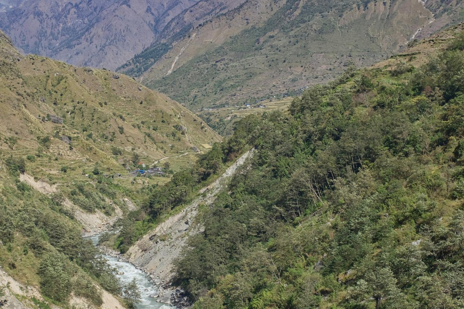 The trail cut into the wall of a deep forested river canyon on the Manaslu Circuit trek from Kathmandu