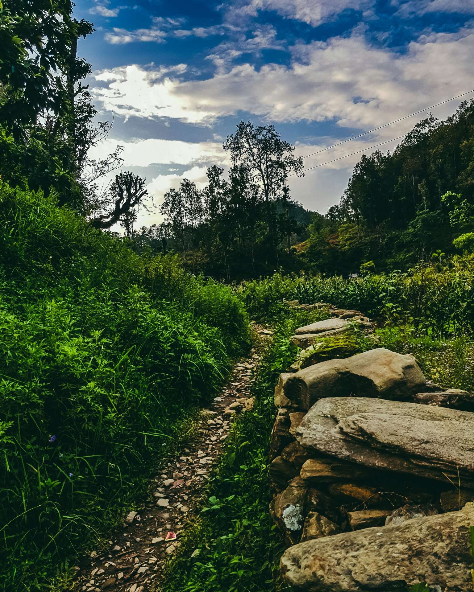 A stone trail through green hills in Gorkha