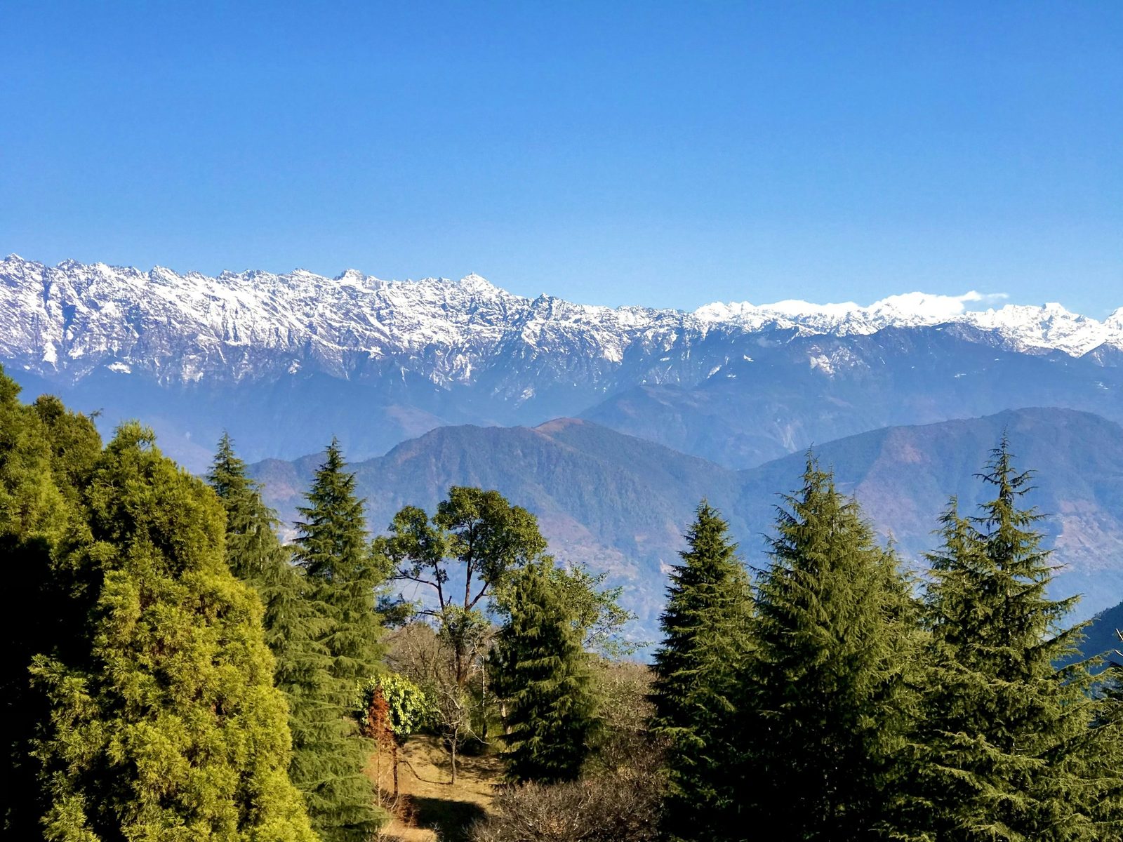 Shivapuri Peak Day Hike