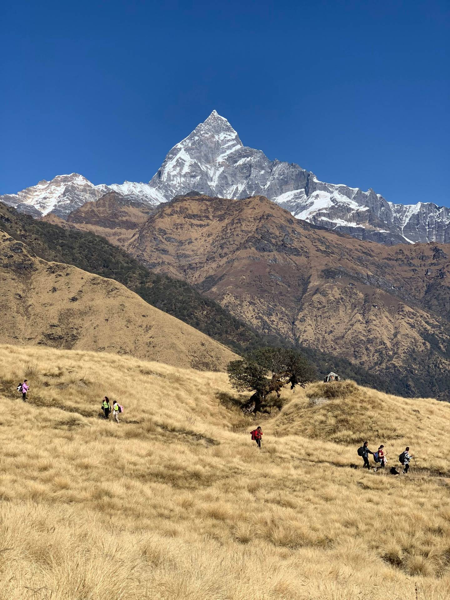 Trekkers on Khumai Danda below Machhapuchhre