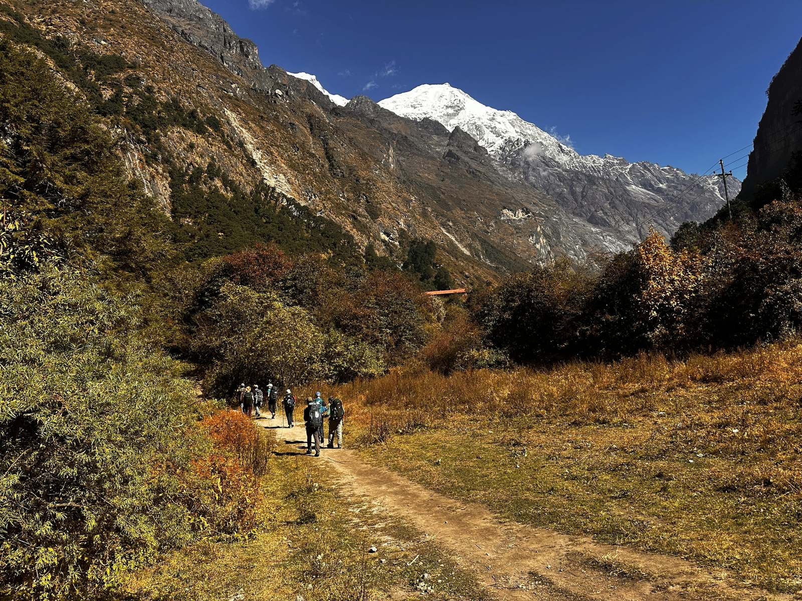 A group walking the valley trail below a cloud-wrapped peak on the Langtang Valley trek