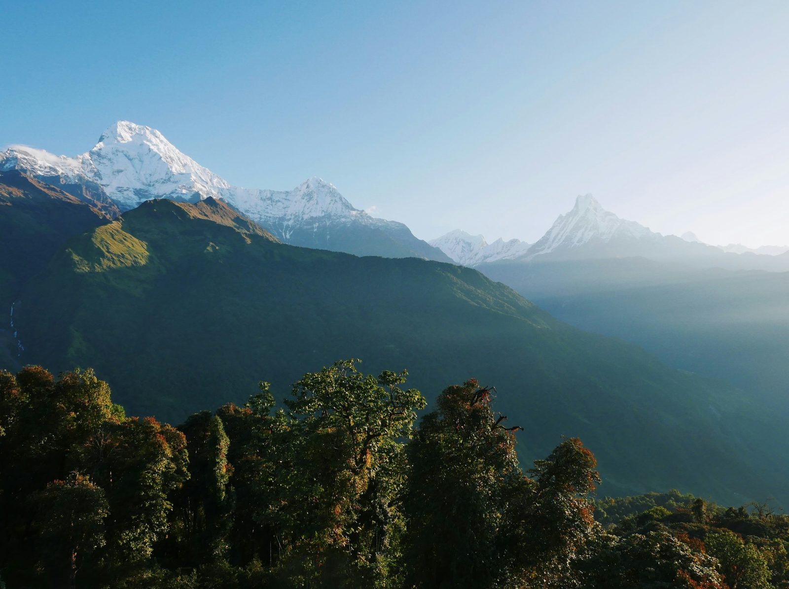 Annapurna South and Machhapuchhre, the fishtail peak, from the forest on the Poon Hill trek