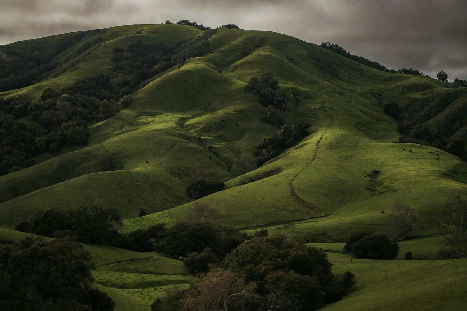 Rolling green hills stacked to the horizon on the Dolakha, Charikot and Sailung tour