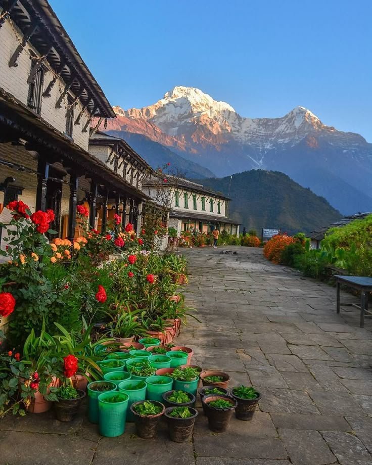 Ghorepani Poon Hill Trek from Kathmandu