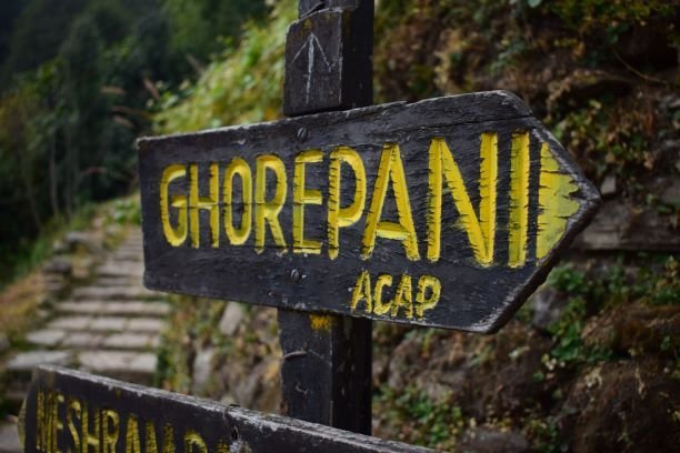 Ghorepani Poonhill Trek from Pokhara
